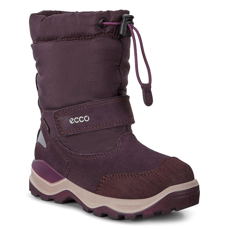 Botas De Nieve Ecco Urban Snowboarder Para Niños,Moradas,905423-POS